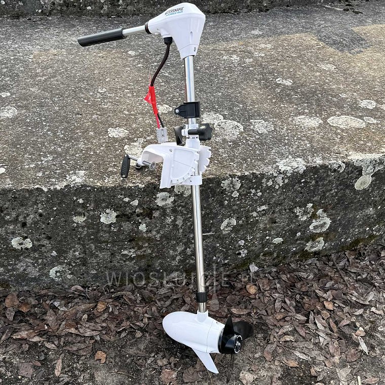 Test silnika WATERSNAKE ADVENCE 70 na pontonie GLADIATOR C370AL