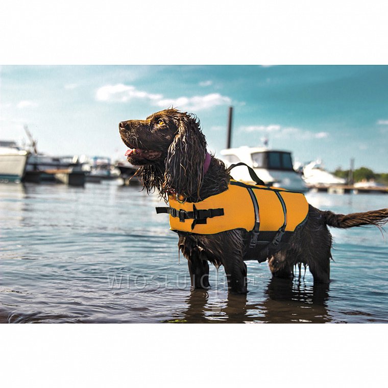 Nobby Elen záchranná plovací vesta pro psa neon oranžová