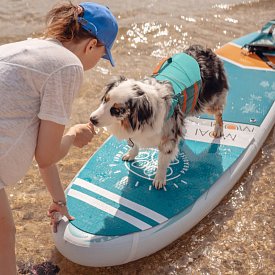 Podkładka dla psa MOAI SUP Deckpad LIMITED STYLE