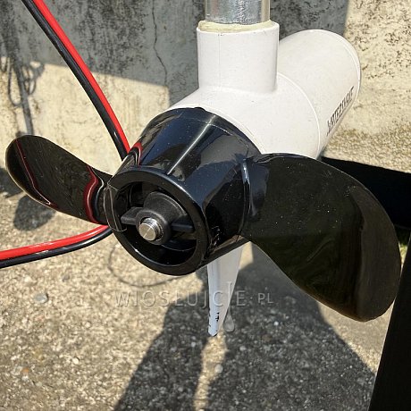 Zaburtowy silnik elektryczny WATERSNAKE ASP T24 SW 12 V