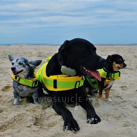 Kamizelka ratunkowa dla psa RESTUBE Dog Life Jacket - kamizelka asekuracyjna dla psa